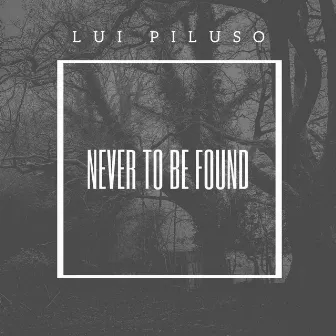 Never to be found by Lui Piluso