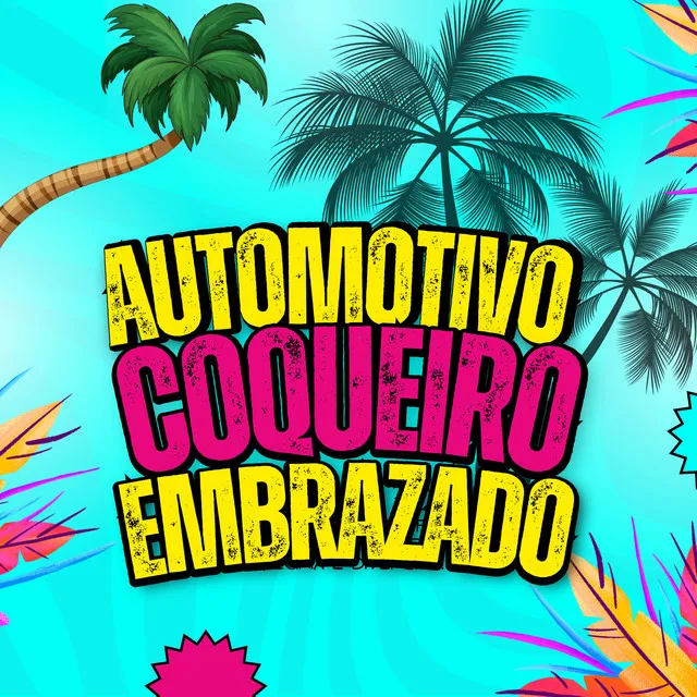 Automotivo Coqueiro Embrazado