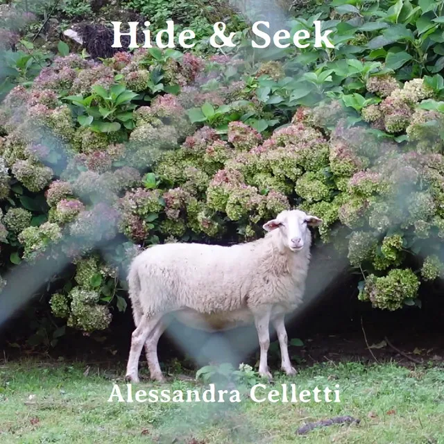 Hide & Seek