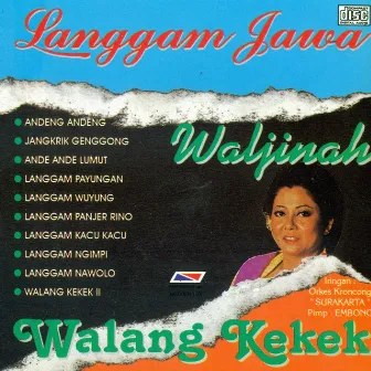 Langgam Jawa by Waljinah