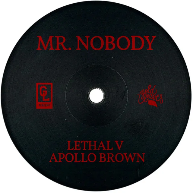 Mr. Nobody - Dj MS Remix