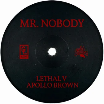 Mr. Nobody (Dj MS Remix) by Lethal V