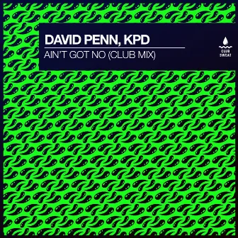 Ain't Got No (Club Mix) by David Penn