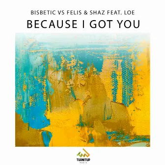 Because I Got You by Felis & Shaz