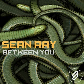 Between You by Sean Ray