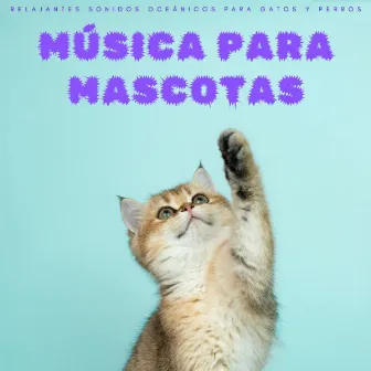 Música Para Mascotas: Relajantes Sonidos Oceánicos Para Gatos y Perros by 