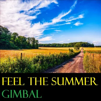 Feel the Summer by Gimbal