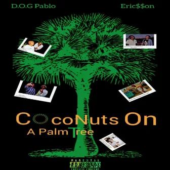 Coconuts on a Palm Tree by Ericsson