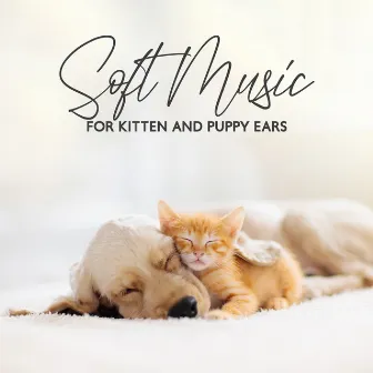 Soft Music for Kitten and Puppy Ears (Pet Therapy, Zen for Dogs, Relaxing for Cat) by Calm Animals Music