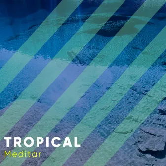 # Tropical Meditar by Ambiente Acúatico