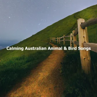 Calming Australian Animal & Bird Songs by Australian Nature Sounds