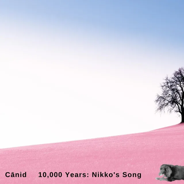 10,000 Years: Nikko’s Song