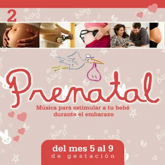 Prenatal 2: Música para Estimular a Tu Bebé Durante el Embarazo by Antonio Cortazzi