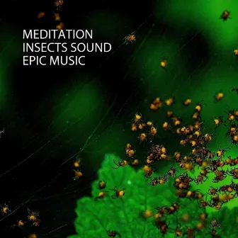 Meditation: Insects Sound Epic Music by State of Distraction