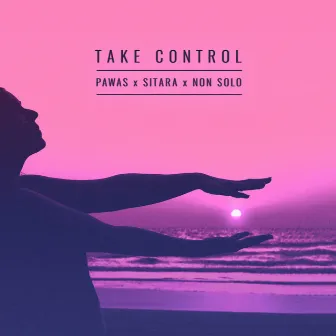 Take Control by Non Solo