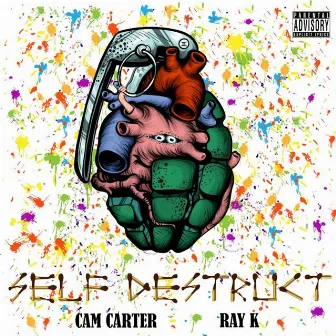 Self Destruct by Cam Carter