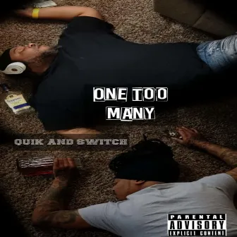 One 2 many by Quik and Switch