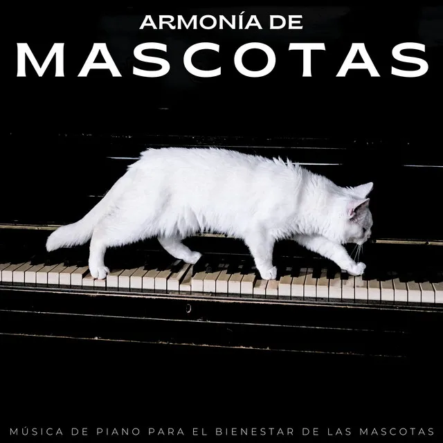 Armonía De Mascotas: Música De Piano Para El Bienestar De Las Mascotas