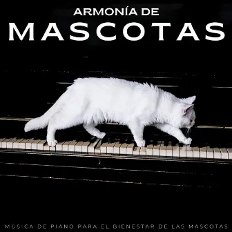 Armonía De Mascotas: Música De Piano Para El Bienestar De Las Mascotas by Café Morning Jazz Deluxe