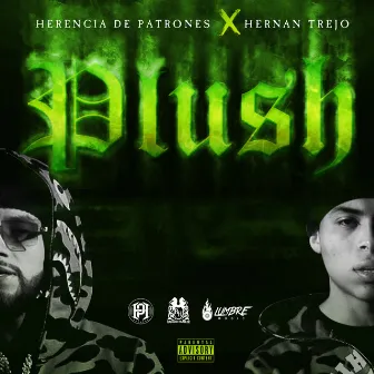 Plush by Herencia de Patrones