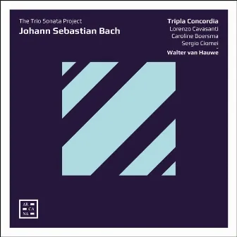 Bach: The Trio Sonata Project by Walter van Hauwe