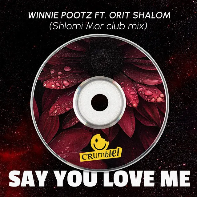 Say You Love Me - Shlomi Mor Remix Club