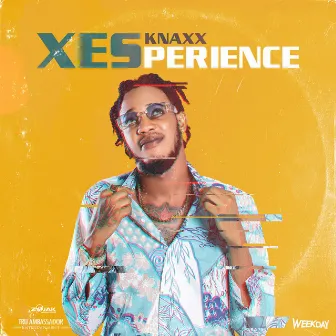 XESperience by Knaxx