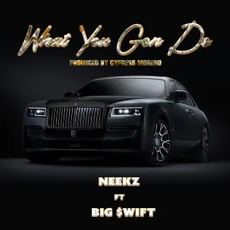 what you gon do by Neekz$