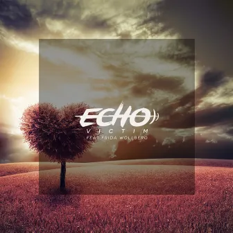 Victim by Echo