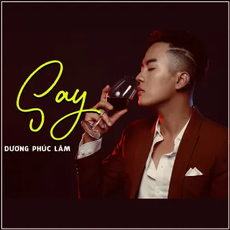 Say by Dương Phúc Lâm