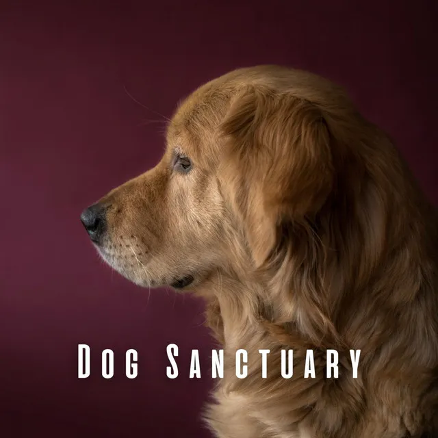 Dog Sanctuary: Dreamy Chill Music for Canine Serenity