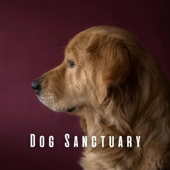 Dog Sanctuary: Dreamy Chill Music for Canine Serenity by Happy Playlisted Music