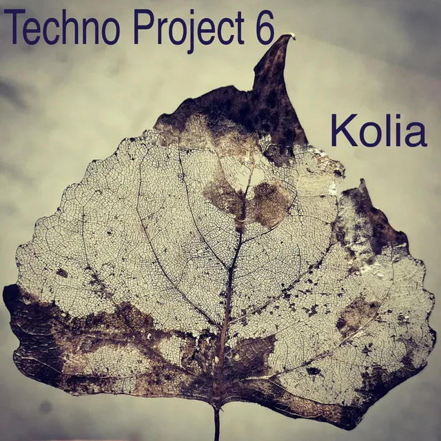 Techno Project 6