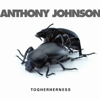 Togetherness by Anthony Johnson