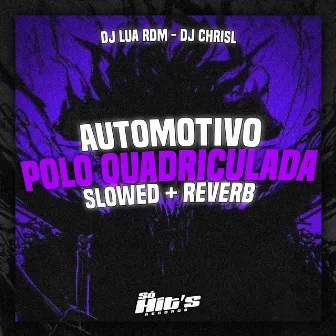 Automotivo Polo Quadriculada (Slowed + Reverb) by Dj Lua rdm