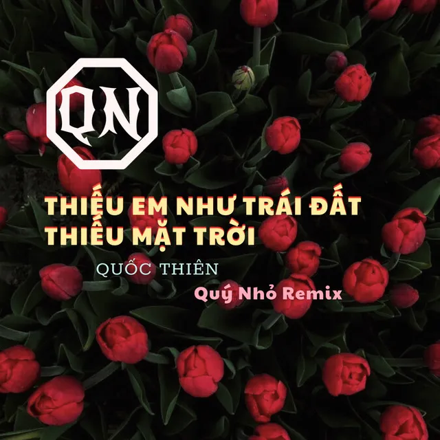 Thiếu Em Như Trái Đất Thiếu Mặt Trời - Remix