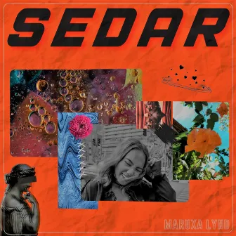 Sedar by Maruxa Lynd