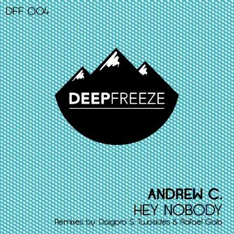 Hey Nobody by Andrew C