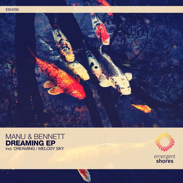 Dreaming - Extended Mix