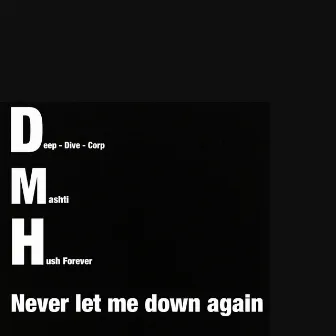 Never Let Me Down Again by Hush Forever