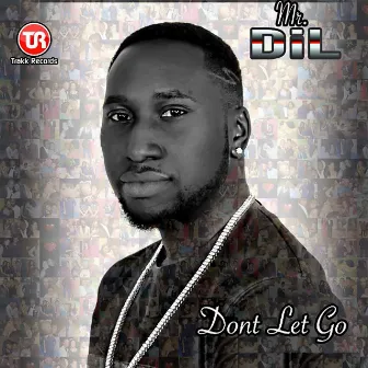 Don't Let Go by Mr Dil