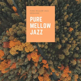 Pure Mellow Jazz Sessions by Pure Mellow Jazz