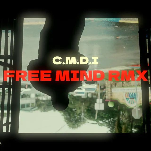 Free Mind (Remix)