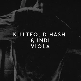 Viola by D.Hash