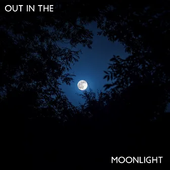 Out In The Moonlight by Unknown Artist