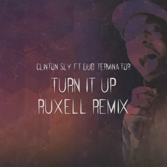 Turn It Up (Ruxell Remix) by Dub Terminator