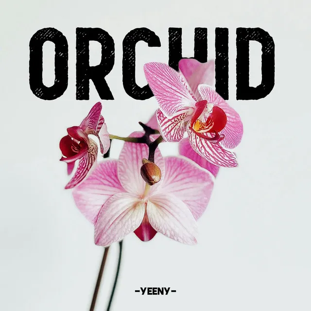 Orchid