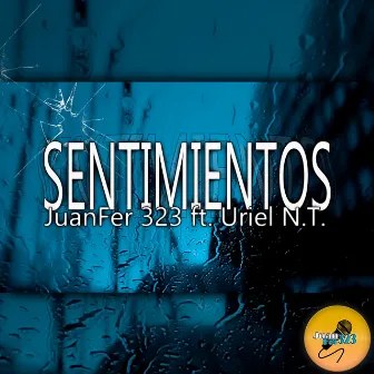 Sentimientos by JuanFer