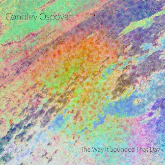 The Way It Sounded That Day by Conoley Ospovat