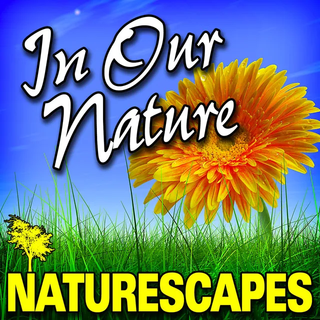 In Our Nature (Nature Sounds)